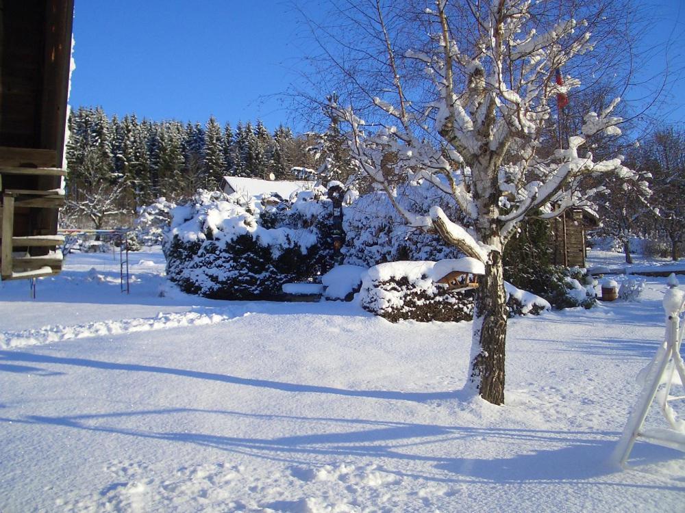 Chata Pavla Jablonec nad Nisou Esterno foto